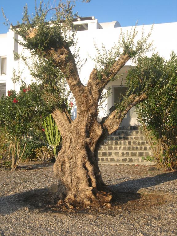 Sun Anemos Resort Oía Eksteriør billede