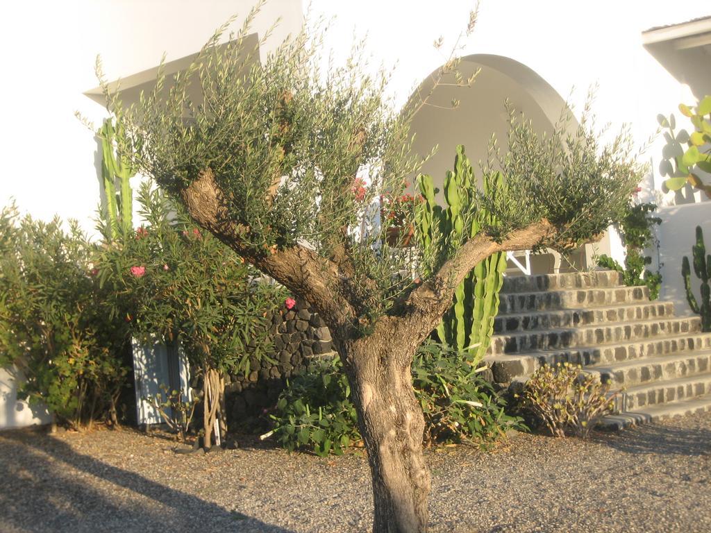 Sun Anemos Resort Oía Eksteriør billede