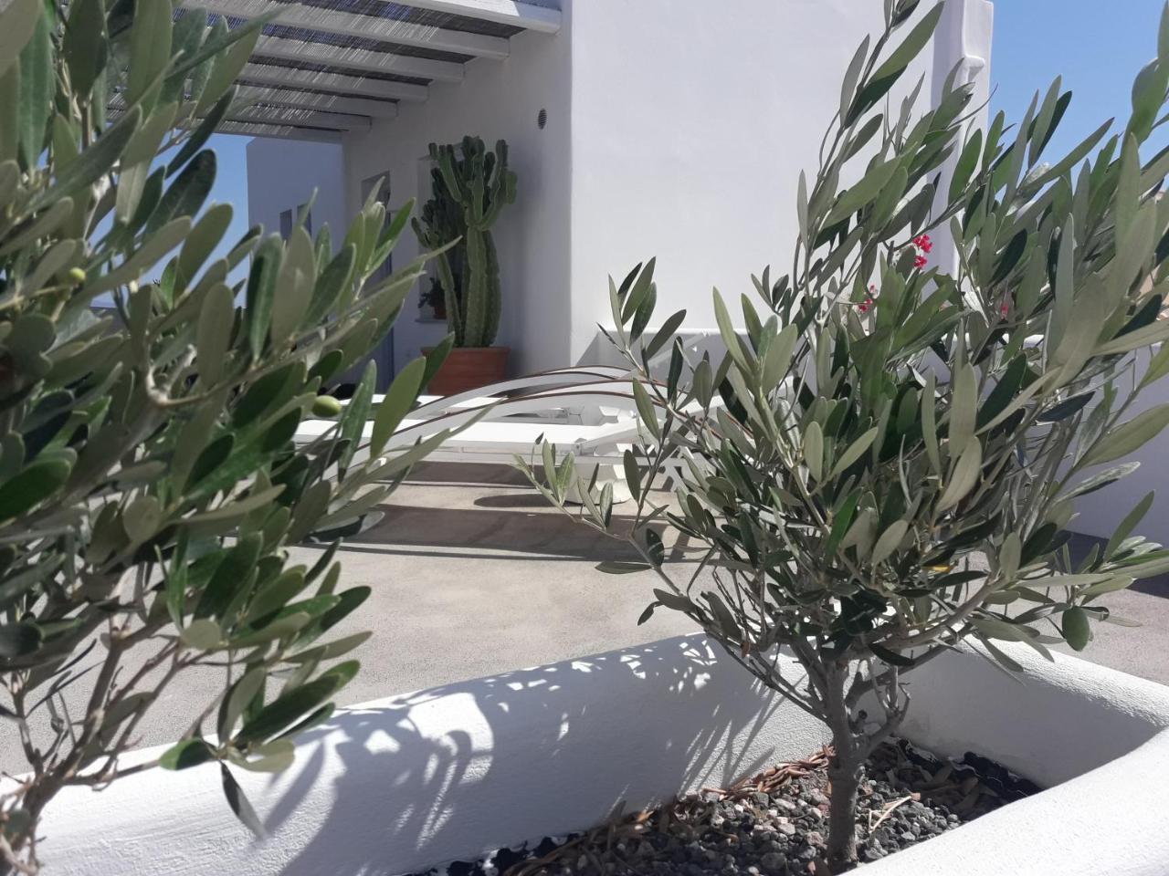 Sun Anemos Resort Oía Eksteriør billede